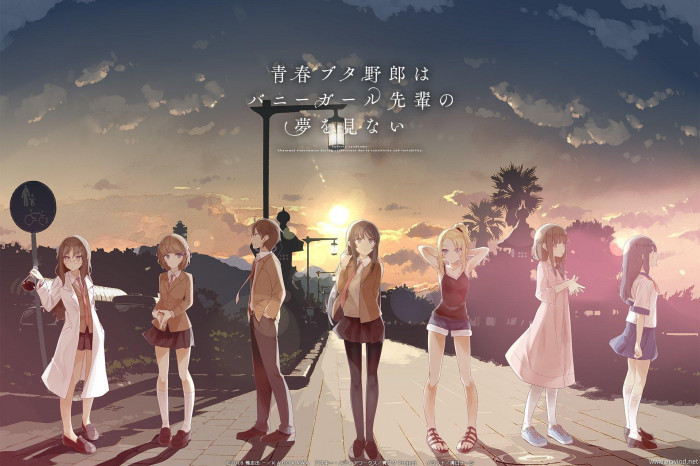 Bunny Girl Senpai Twixtor